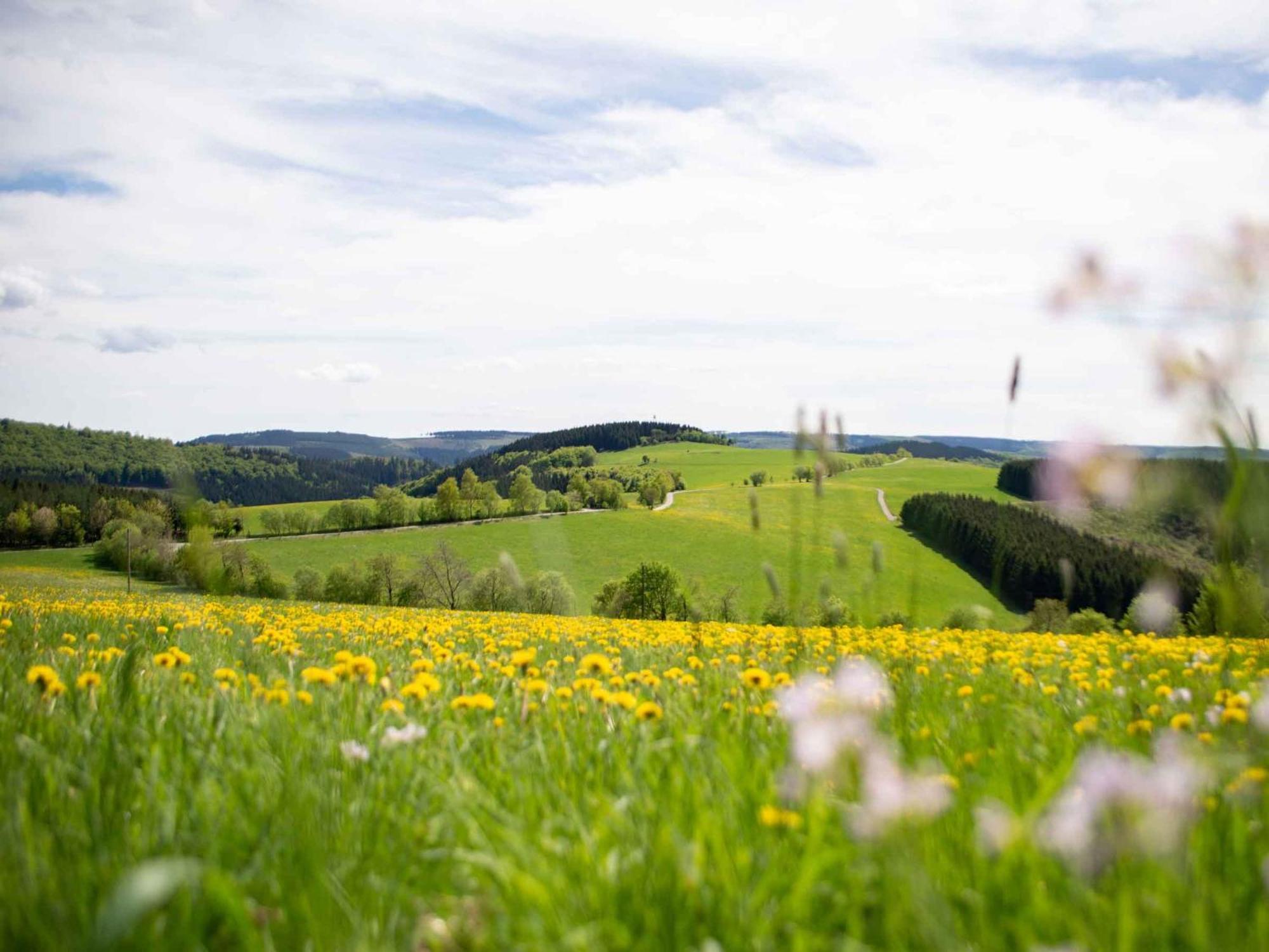 Ferienwohnung Zur Basemicke Schmallenberg Zewnętrze zdjęcie