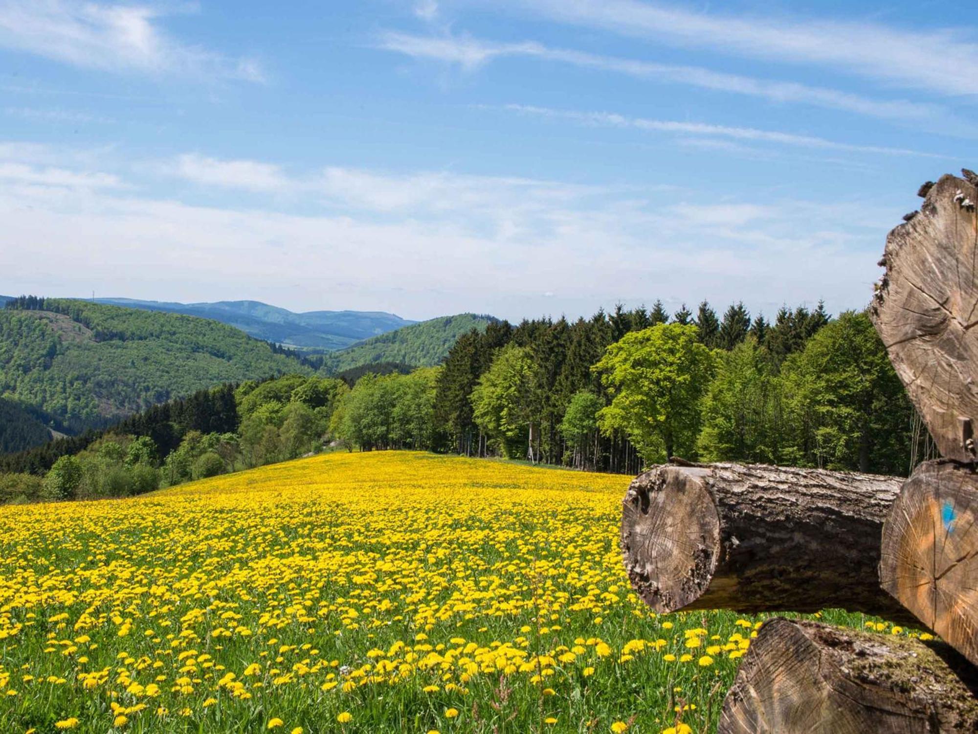 Ferienwohnung Zur Basemicke Schmallenberg Zewnętrze zdjęcie